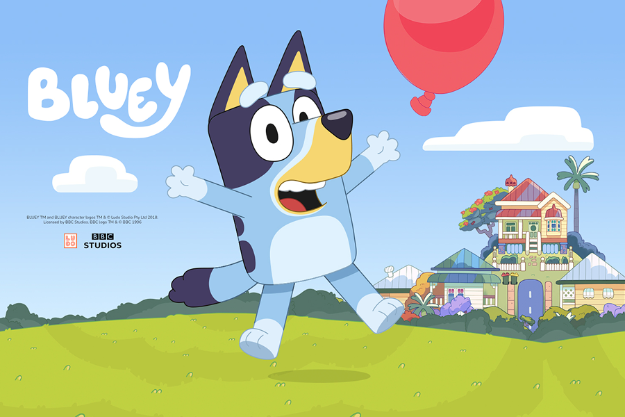 wydarzenie bluey w m1 radom